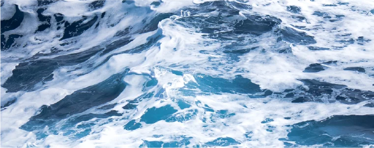 From Federick’s Desk